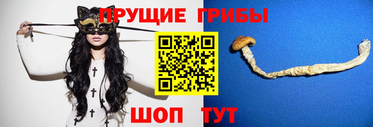 Псилоцибиновые грибы Cubensis  Вход с VPN  Дубна 